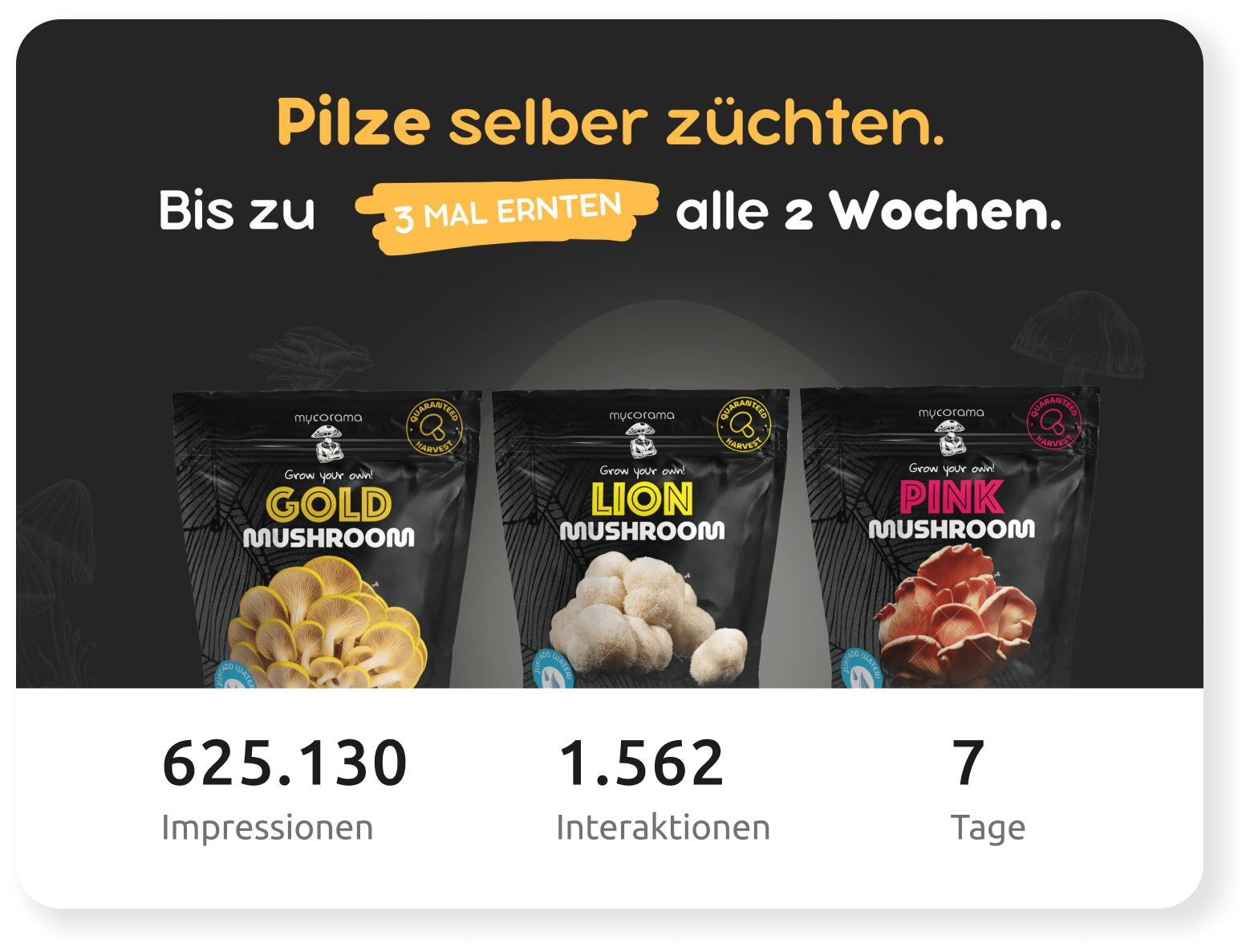 Kampagne Mycorama (1)
